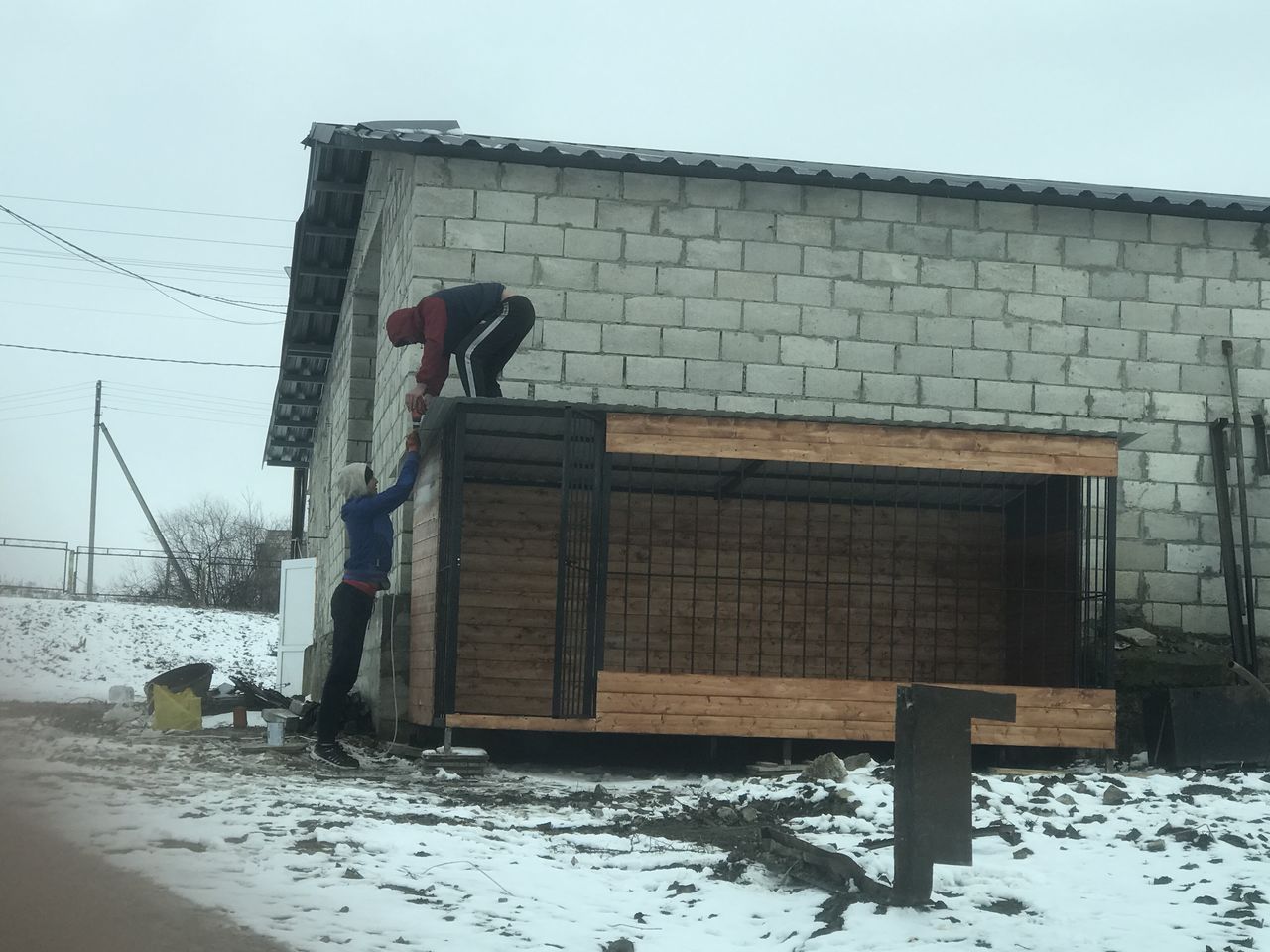 Tarc pentru caine foto 3