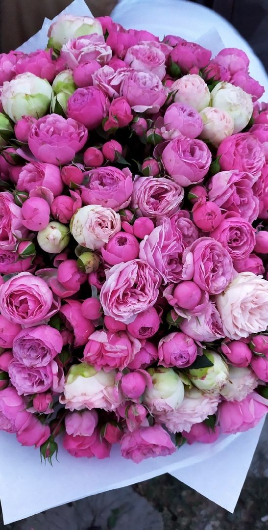 Eustoma 10 lei/crenguta. Buchete imense la preturi angro! foto 0