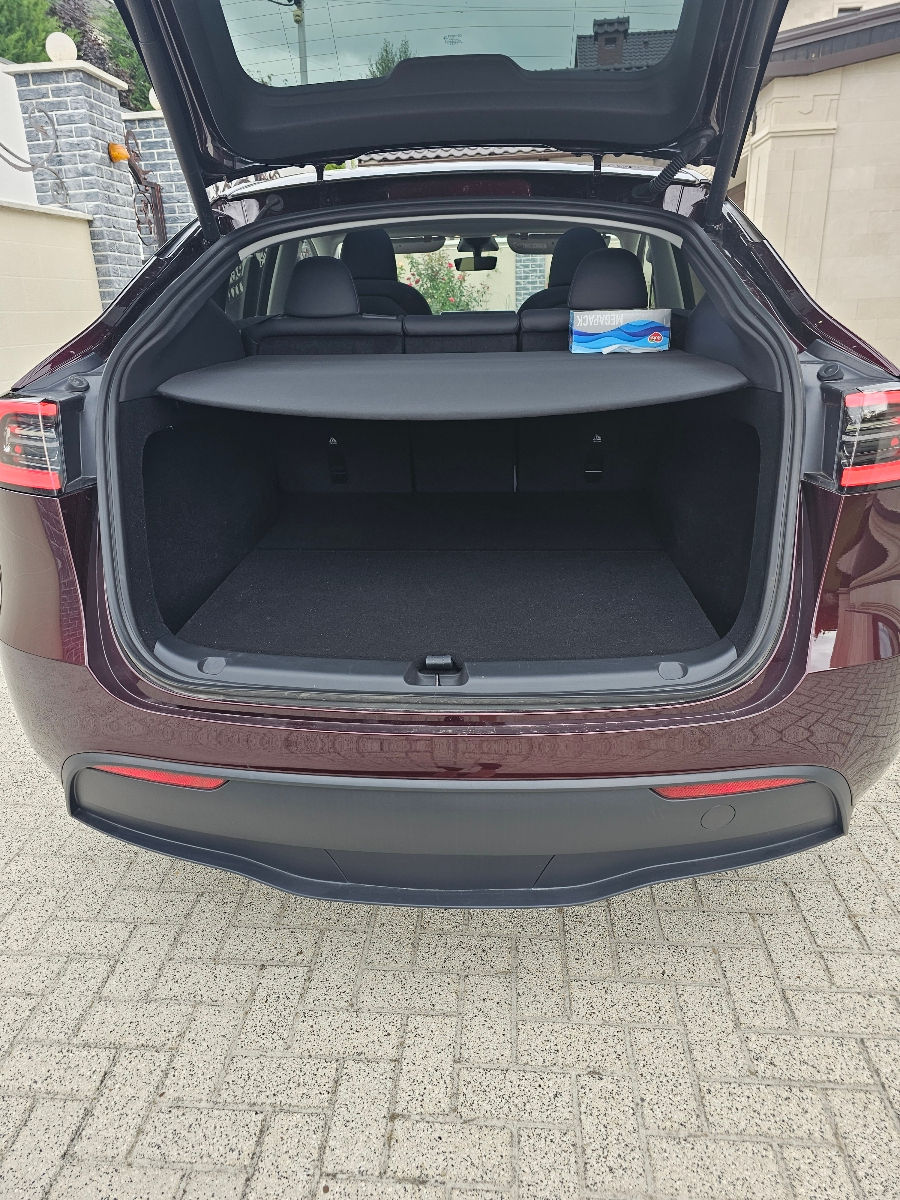 Tesla Model Y foto 4