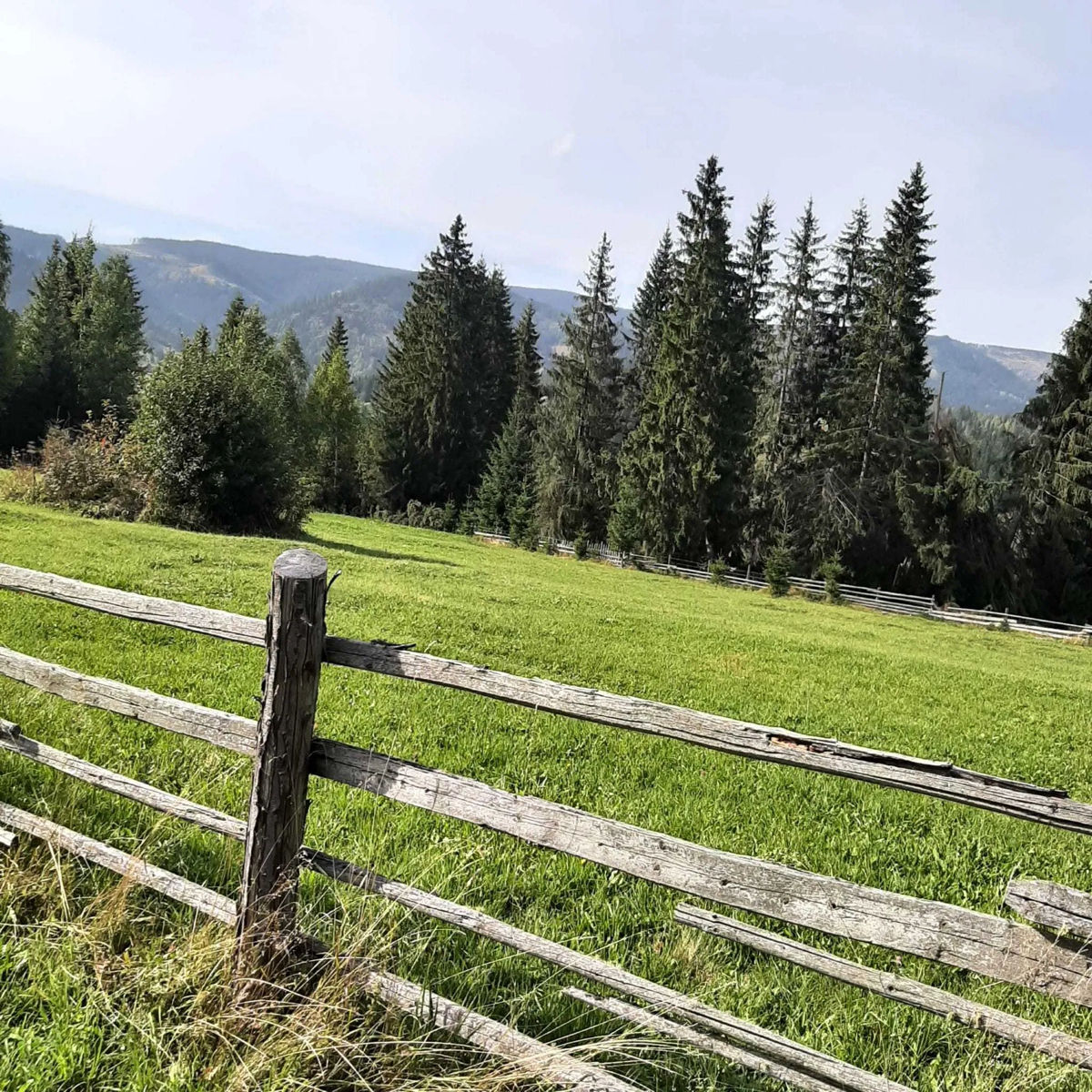 Teren pentru construcție în Vatra Dornei la munte foto 8