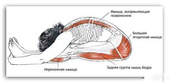 Тренажер «Пасчимо» foto 5