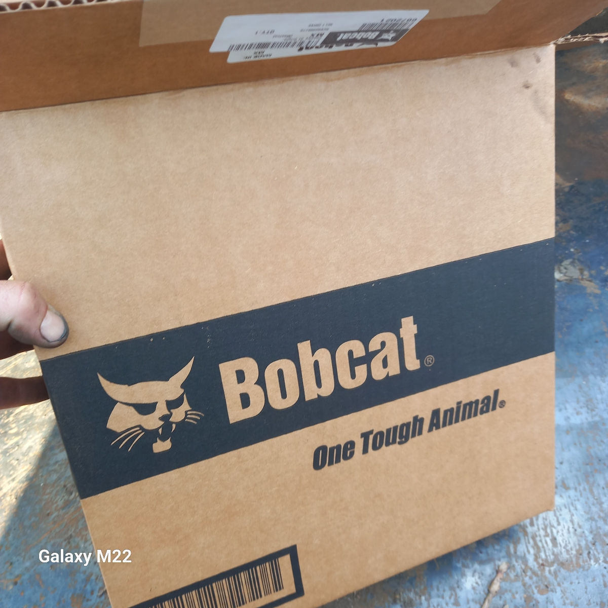 Curea bobcat foto 1