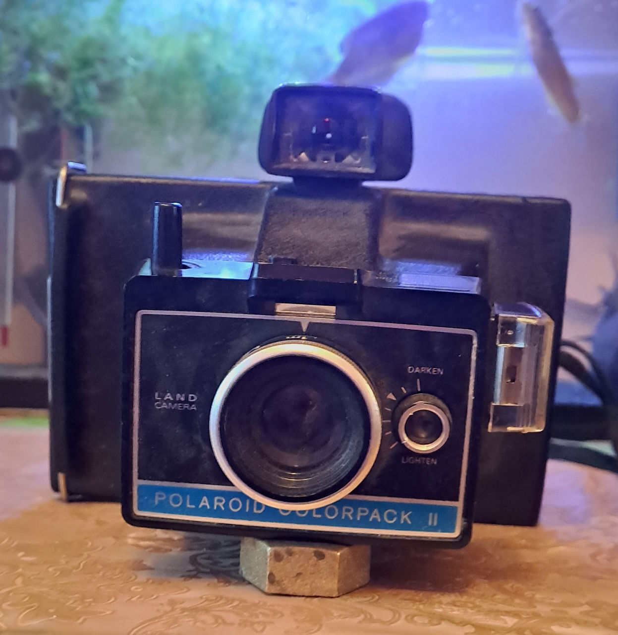 Appareil Photo Polaroid Colorpack 2 - Avec Boîte D'origine Et Notice - RARE