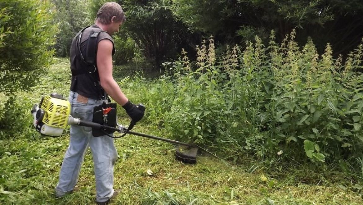 Curatenie in curte, pentru ca tu sa te simti relaxat in fiecare zi. foto 10