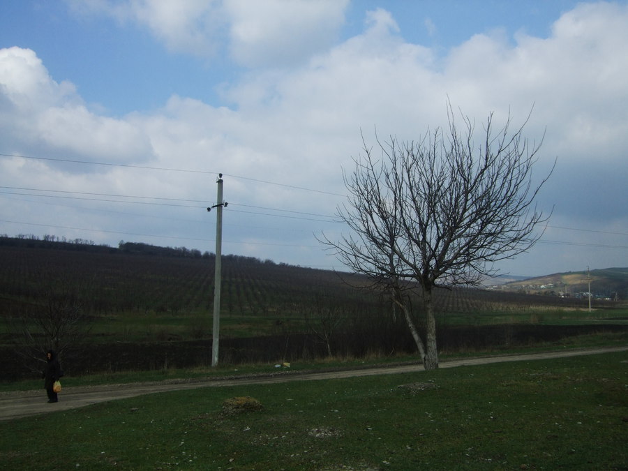 Cladiri 900 m2,1200 m2 pe 1.7 ha,teren agricol 400ha  Ungheni s.Bogeni-frigid,deposit, 58000 eur foto 4
