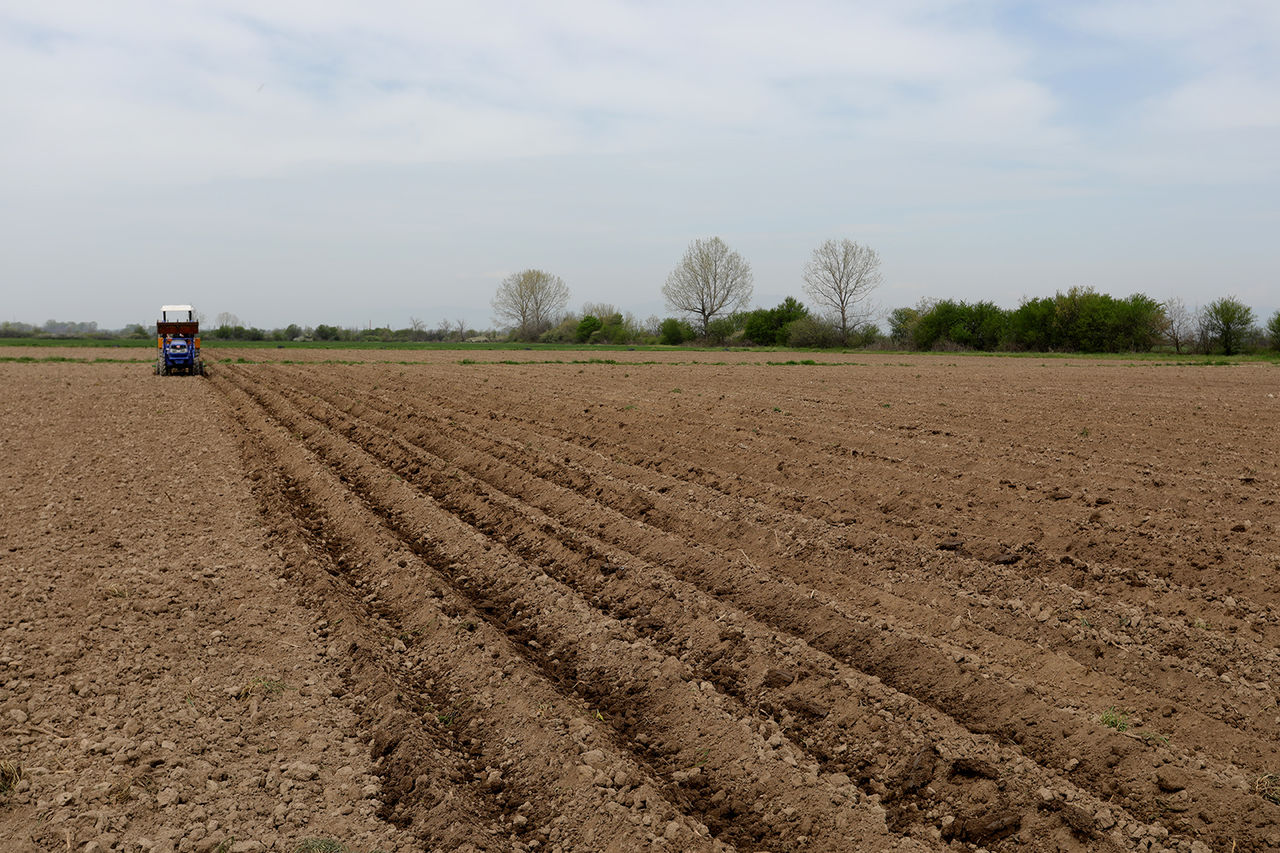 Se vinde mașină de plantat cartofi cu 2 rânduri si distribuitor de îngrășământe foto 11