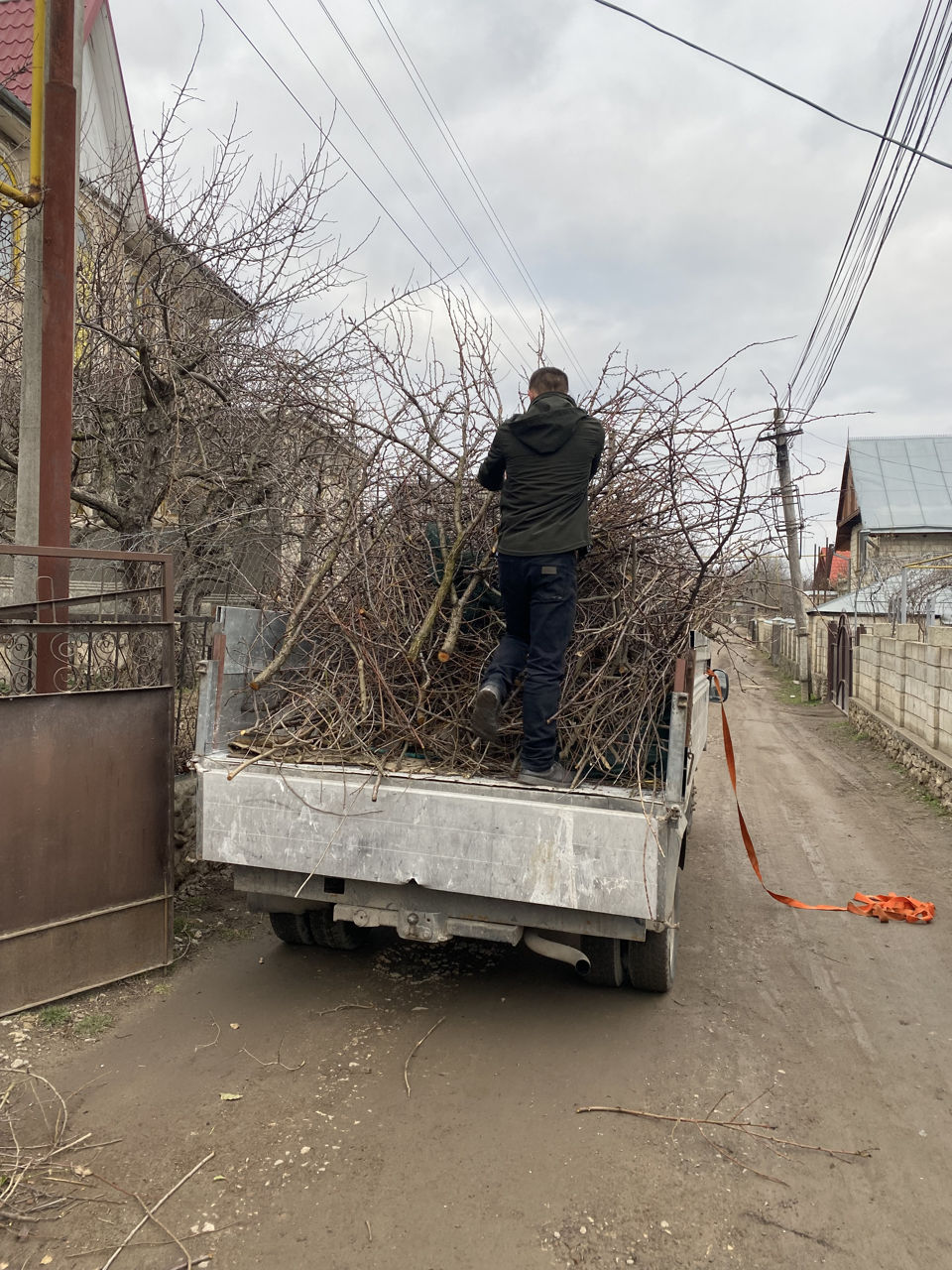 Evacuarea rapida a gunoiului foto 6