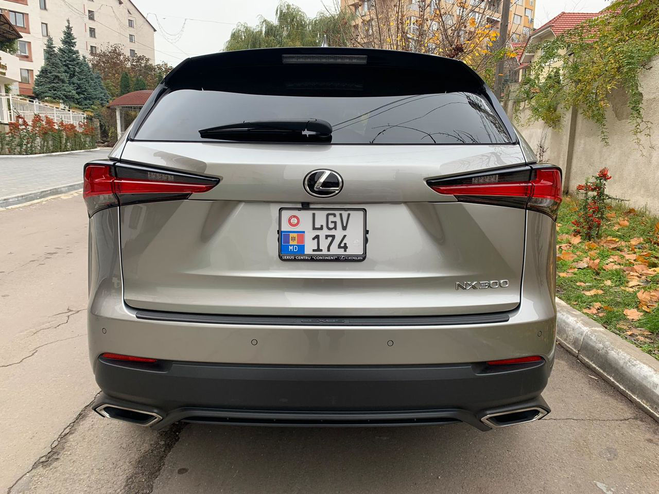 Lexus NX Series фото 5