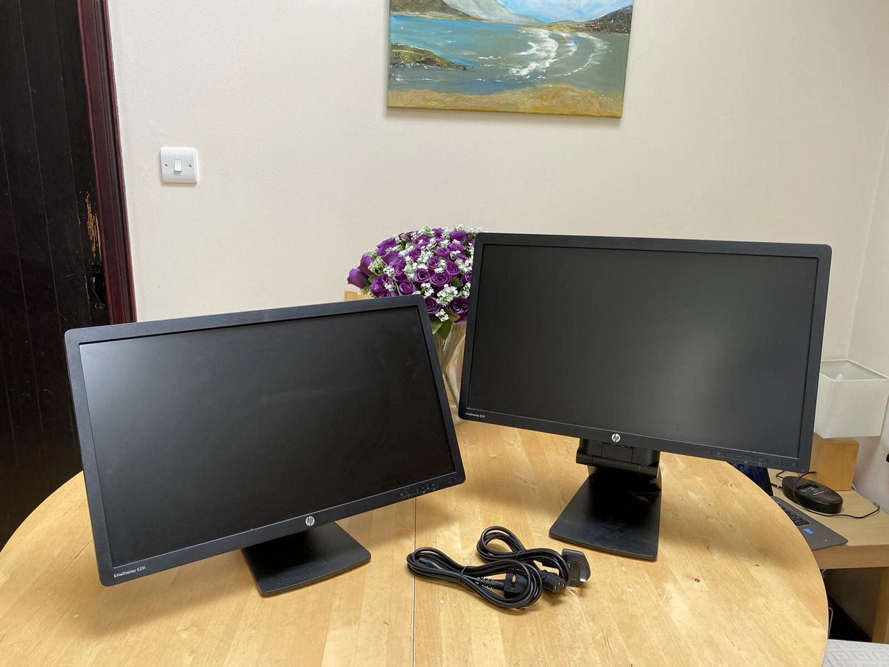 HP EliteDisplay E231 LED display фото 2