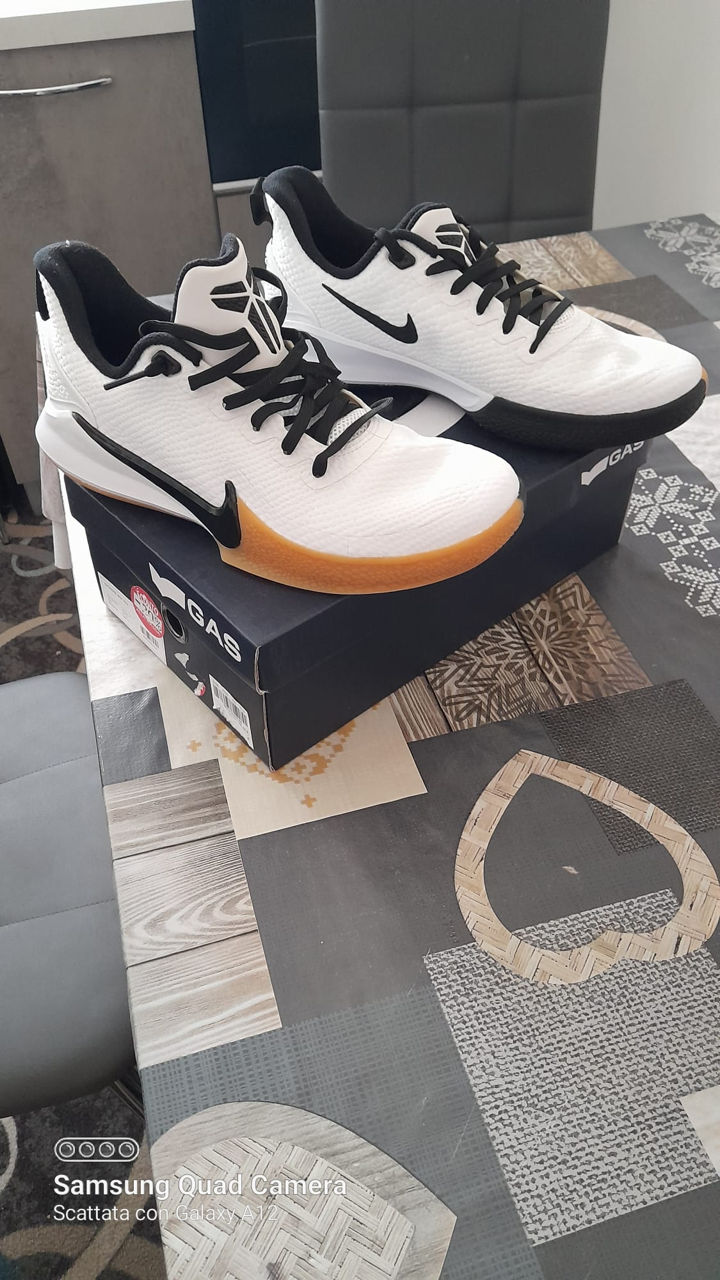 mamba focus galaxy