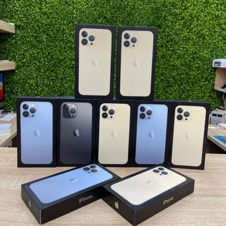 Iphone 13 Pro Качество Фото