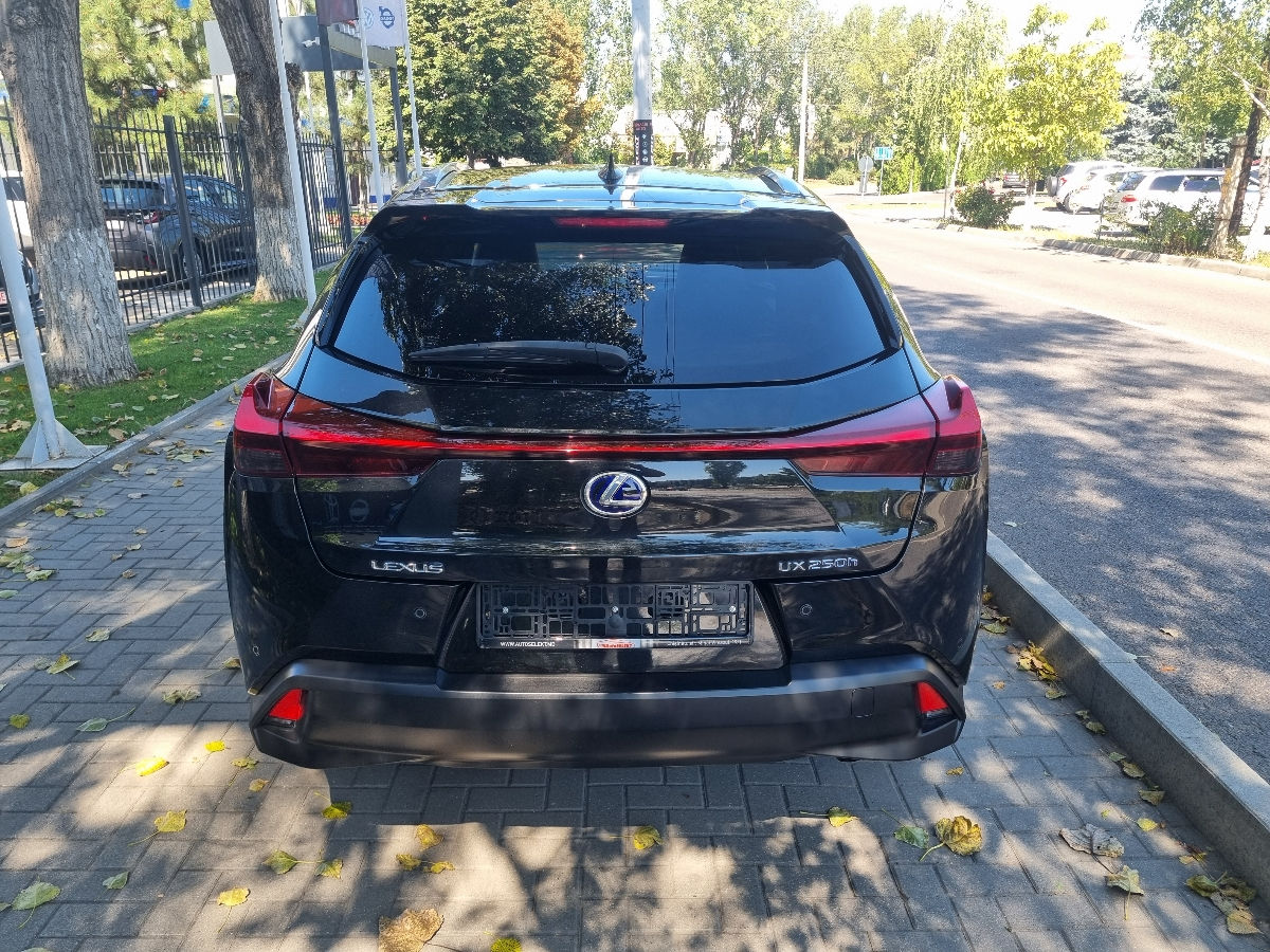 Lexus UX 2020 photo 6