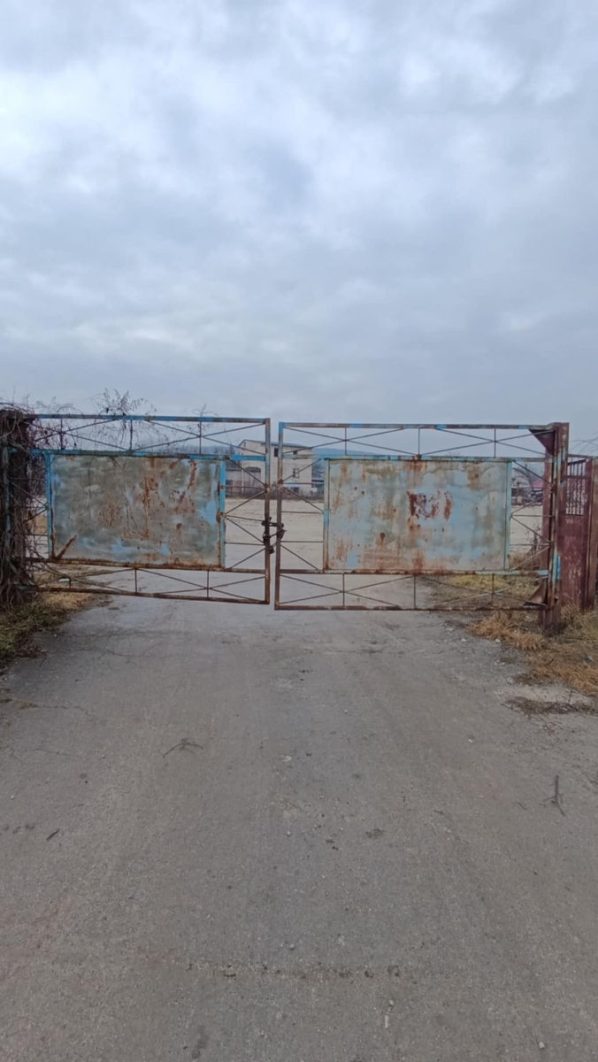 Teren pentru construcții 1,27 ha industrial, cu 2 depozite câte 500 M2 fiecare. foto 13