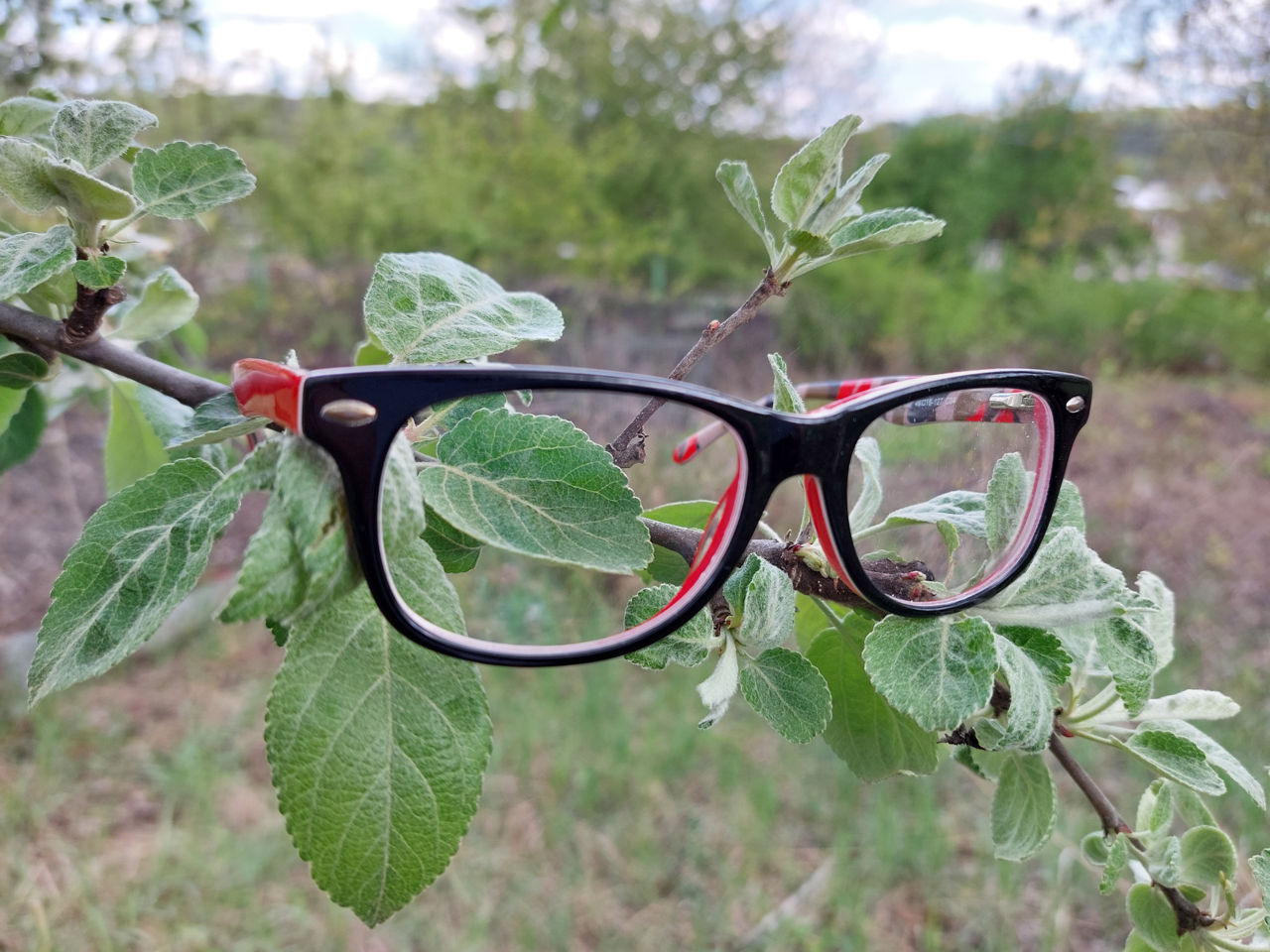 Rama pentru ochelari foto 0