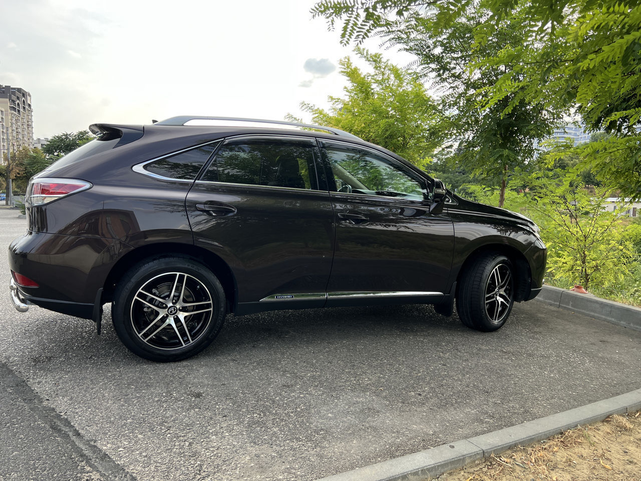 Lexus RX Series