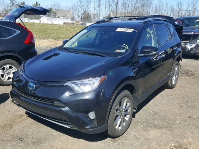 Шгу яндекс авто rav4