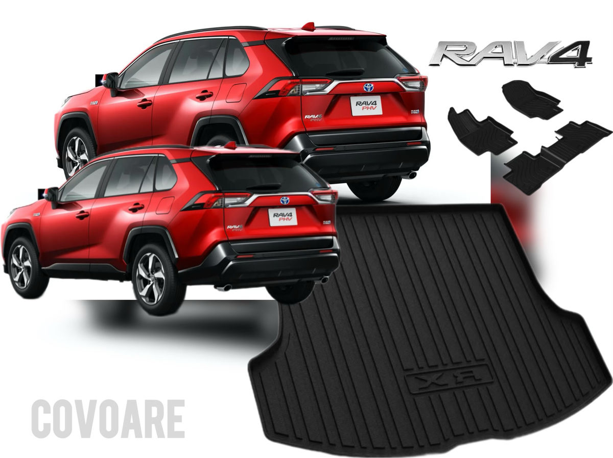 RAV4  2019-2025 foto 1