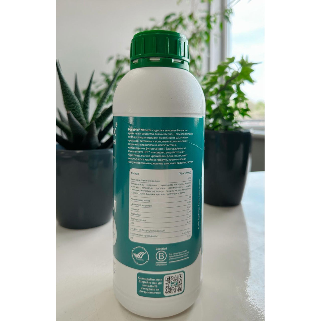 Microalge-dynamix, algaenergy foto 3