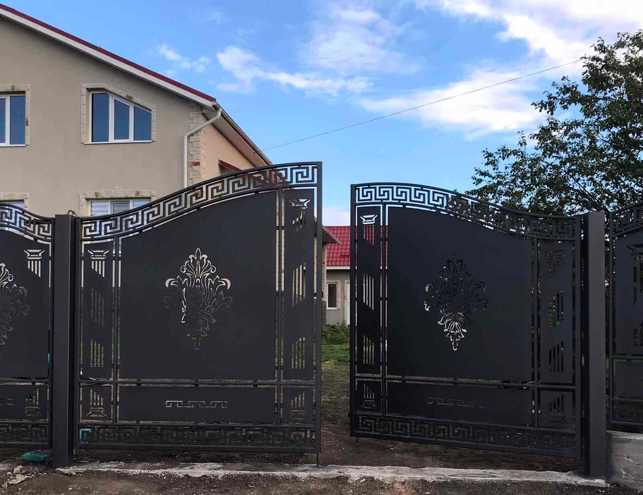 Типовые крашенные ворота, плазменная резка, porti standart cu vopsire фото 5