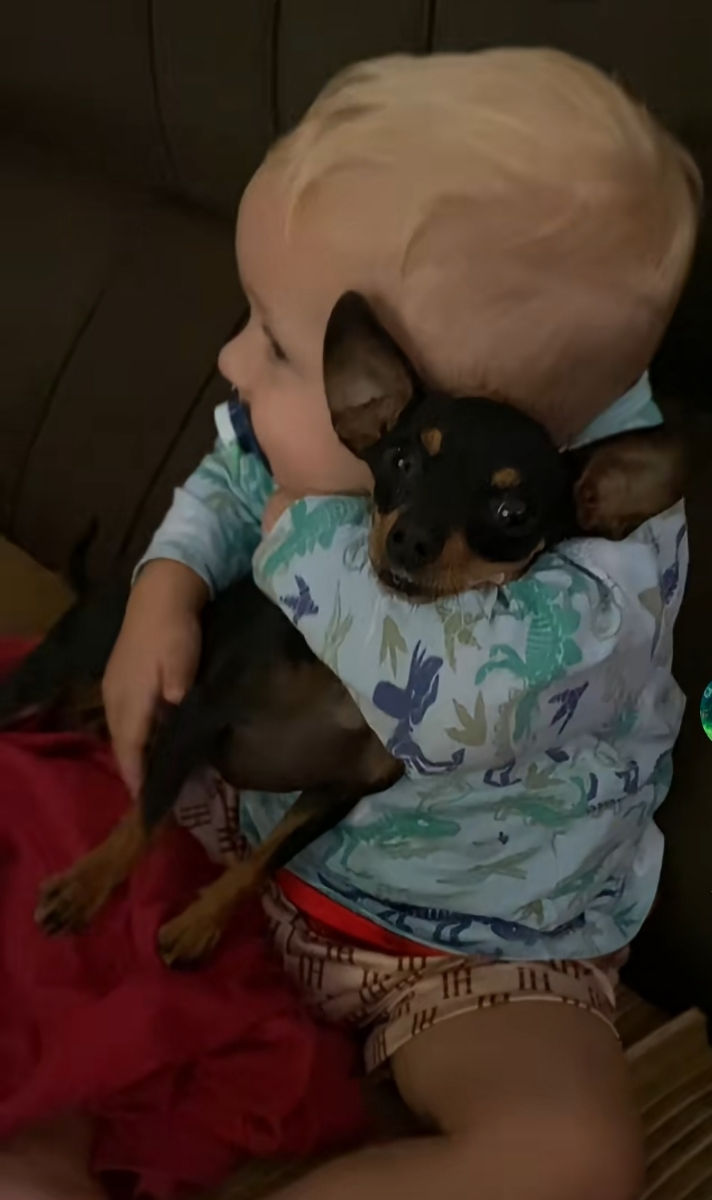 Cățeluși de buzunar! foto 1