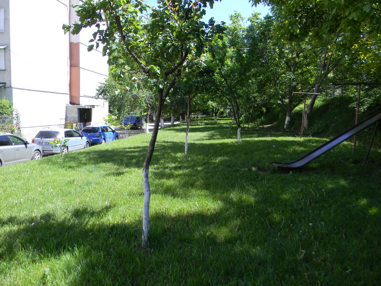 Куплю капитальный гараж в пределах Рышкановка Ботаника