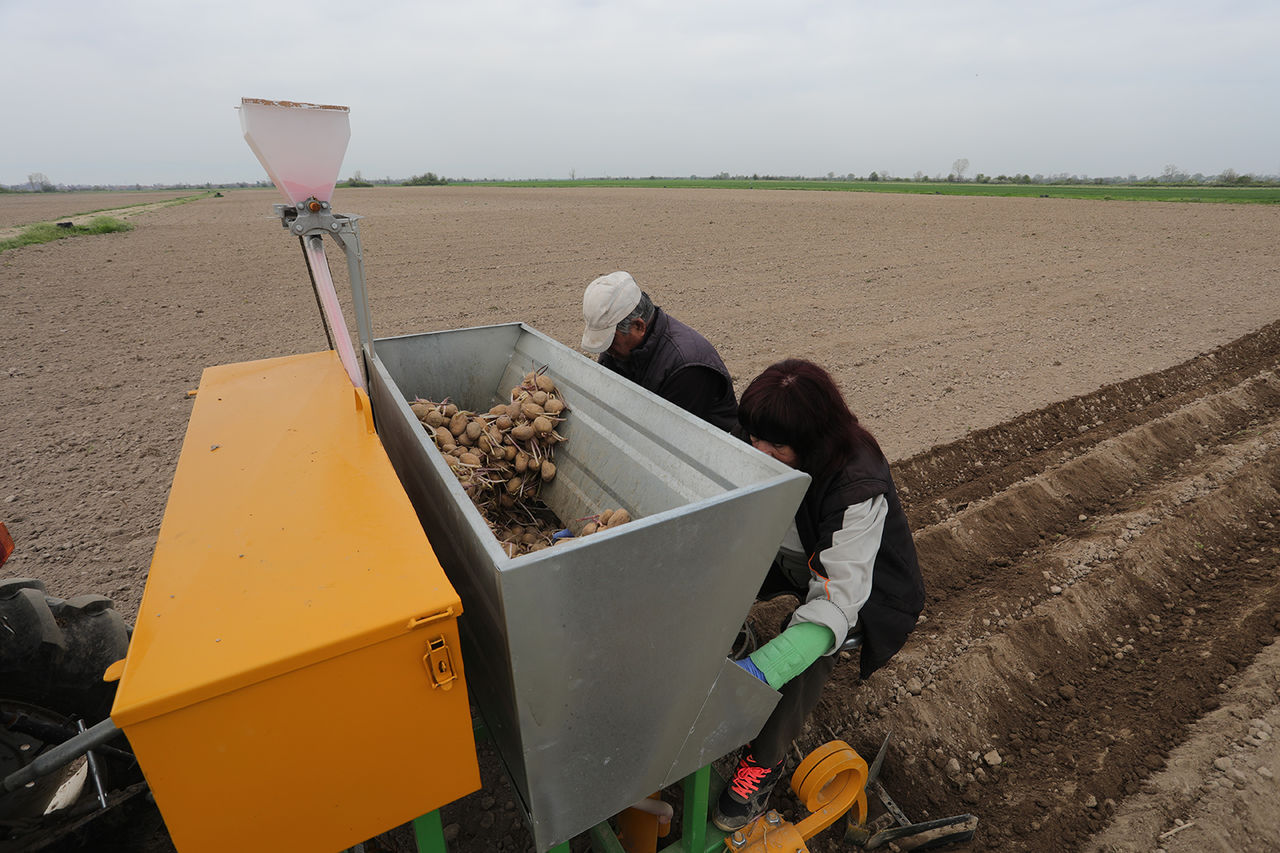 Se vinde mașină de plantat cartofi cu 2 rânduri si distribuitor de îngrășământe foto 7