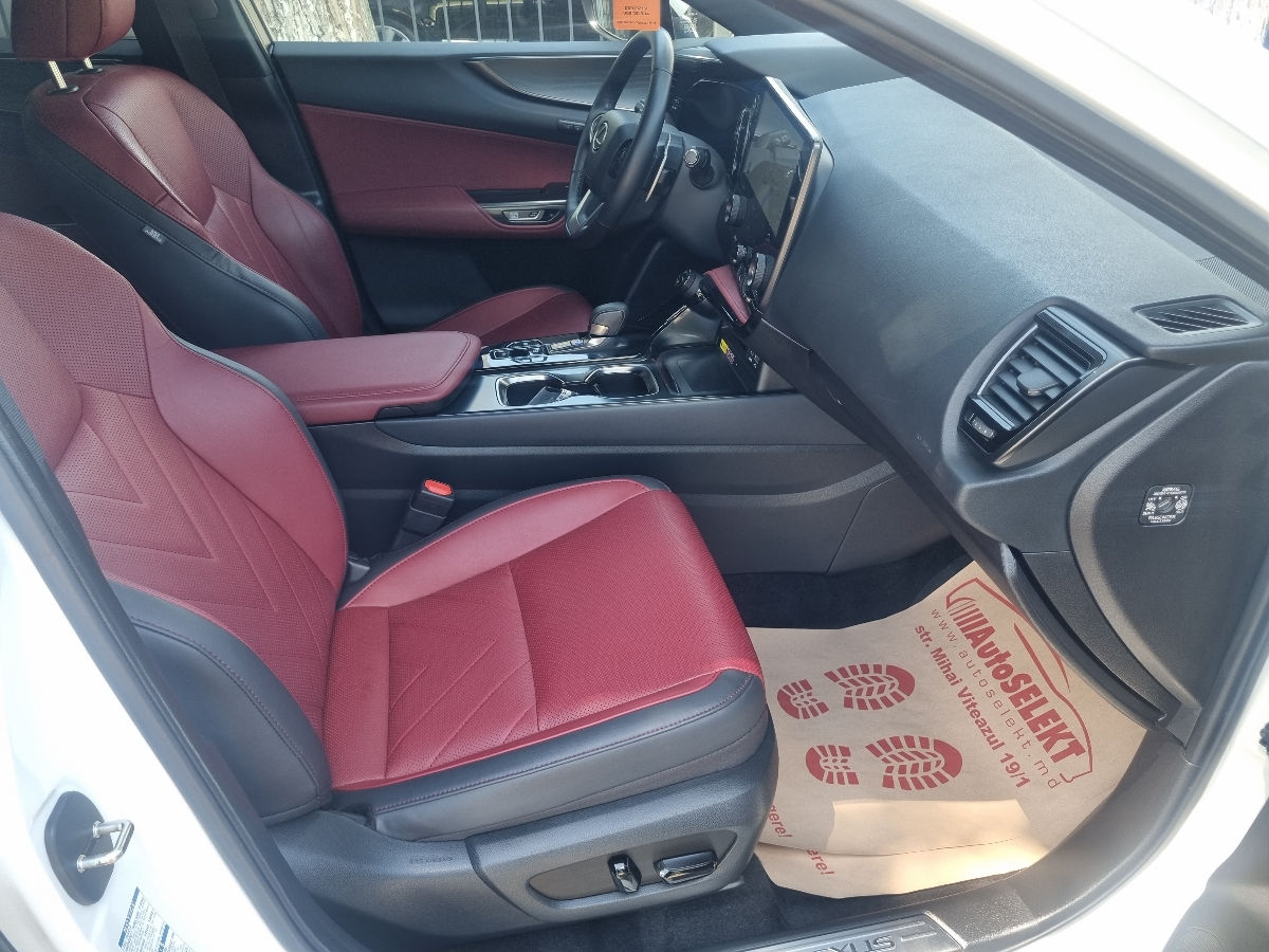 Lexus NX Series 2022 photo 10