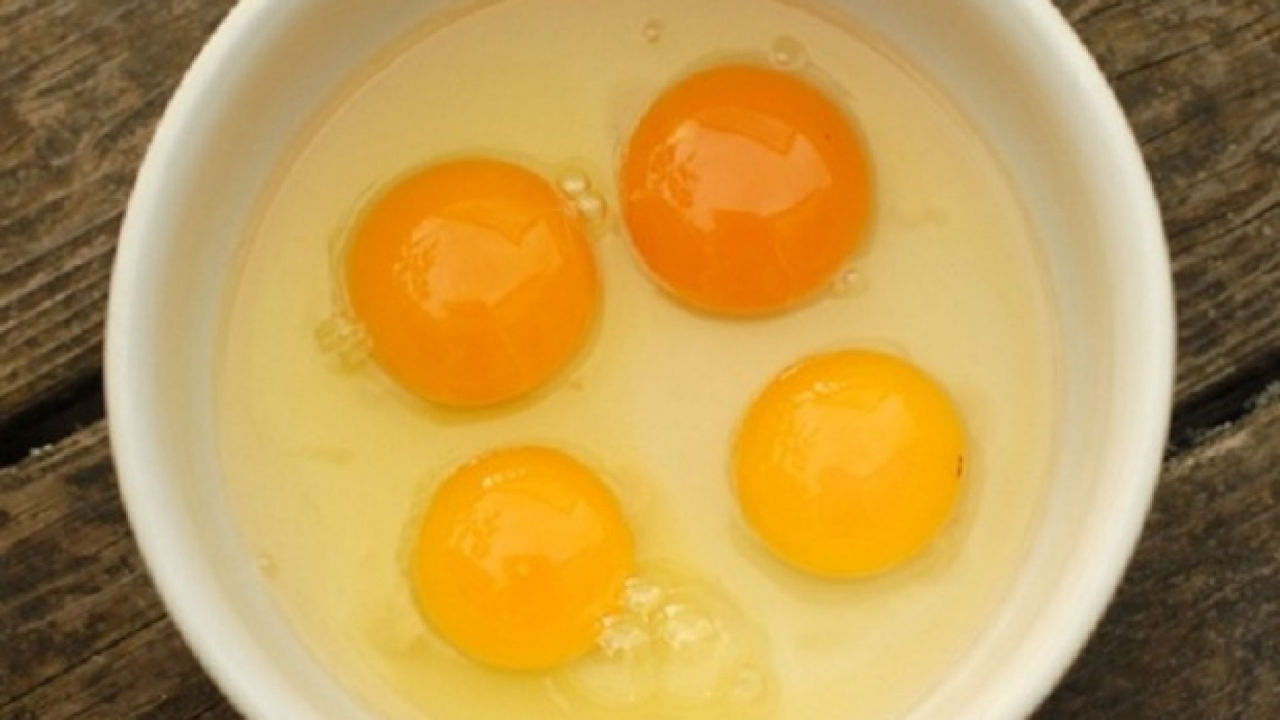 Почему яйцо оранжевое. Желток куриного яйца. Куриный желток. Оранжевый желток. Желток домашнего яйца.