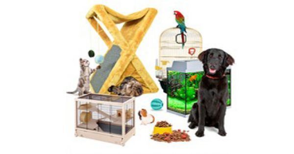 Magazine ZOOTERRA - o gamă largă de produse pentru animalele de companie ! foto 12