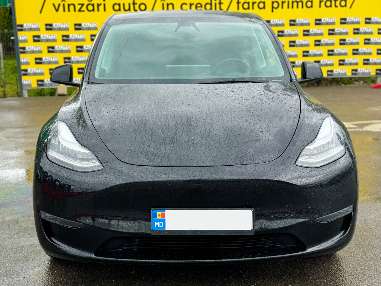 Tesla Model Y foto 2