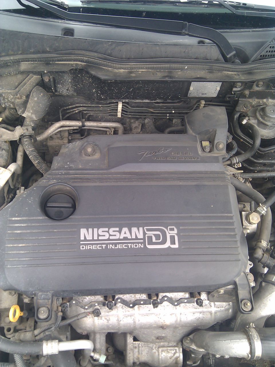 avariat razborca nissan almera n16,tino,x-trail фото 1