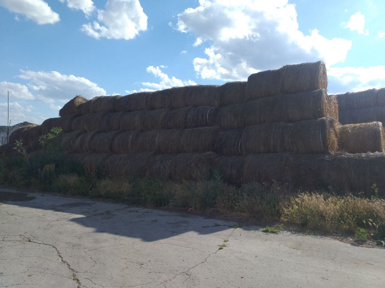 Продам сена