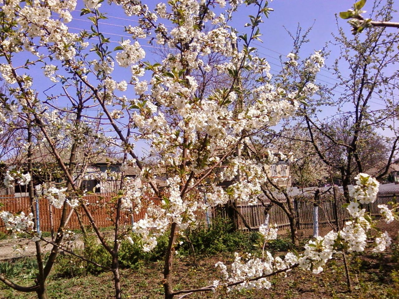 Casă de vînzare in satul Pîrjota, r. Rîșcani foto 4