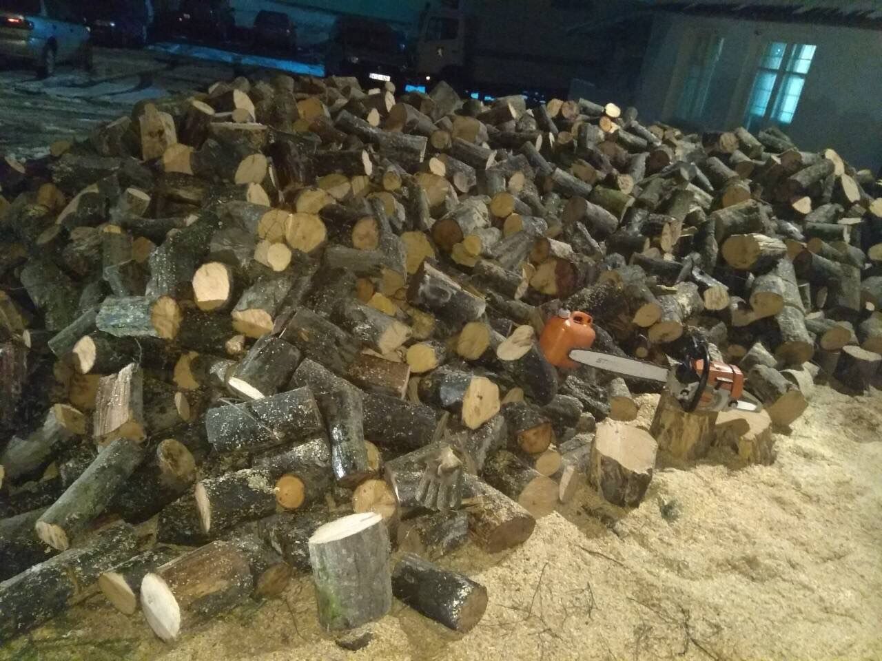 Tăiere (tai) lemne, crengi , pomi , copaci  și doborirea copacilor foto 5