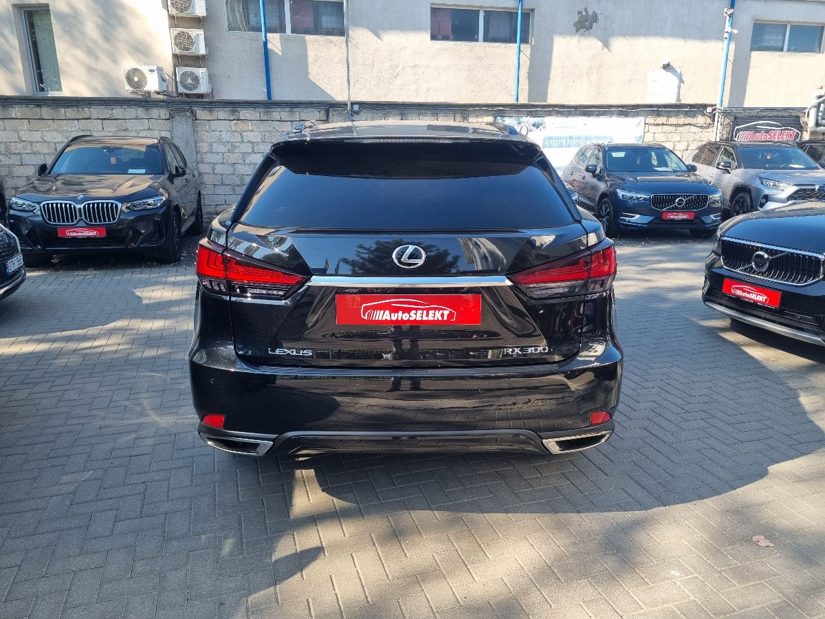 Lexus RX Series 2022 photo 6
