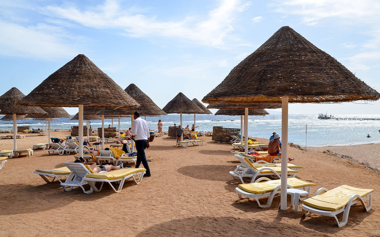 Египет! Parrotel Aqua Park Resort 4*-295 € foto 5