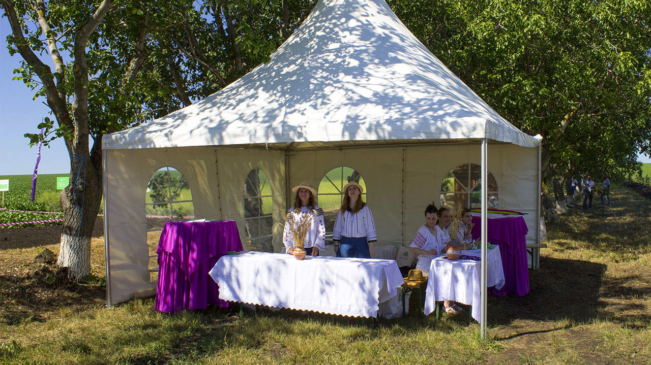 Corturi în chirie - Chișinău și toată Moldova foto 2