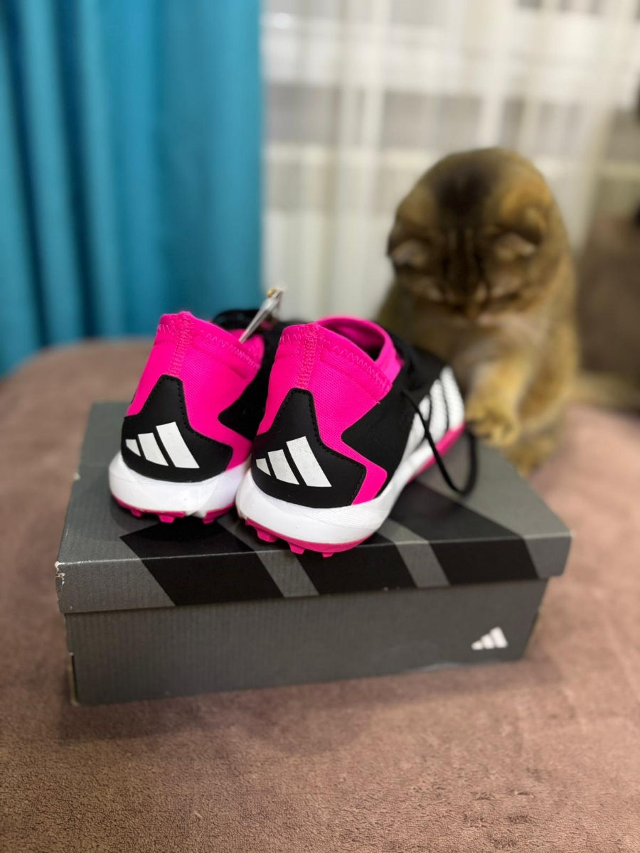 Bampuri Adidas Predator Accuracy.3 TF foto 3
