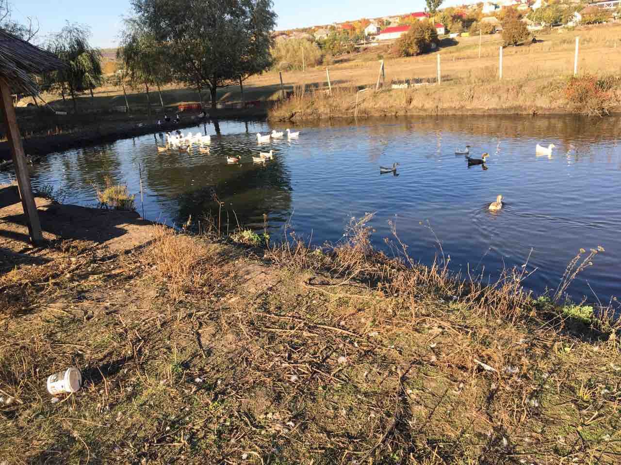 Vând ferma cu teritoriu de 1,3 ha gratiesti -hulboaca фото 1