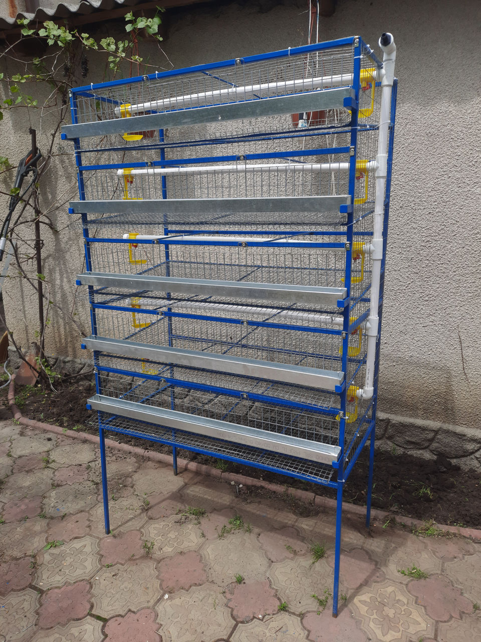 Клетки для перепелок / cuști pentru prepeliță