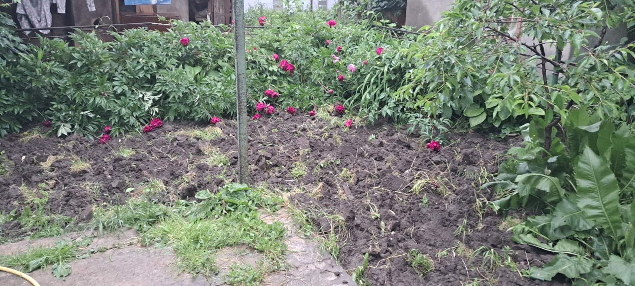 Se vânde  două case pe un singur teren, direct de la proprietari ! foto 6
