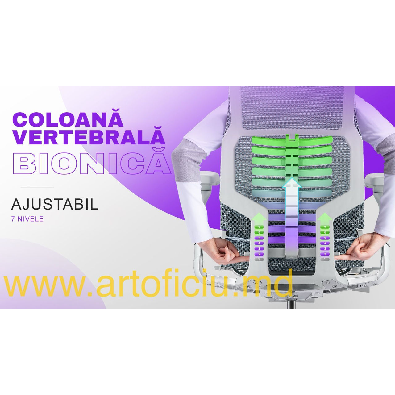 Scaun Ortopedic Pofit 2 Bionic - Coloana Vertebrala Bionica foto 5