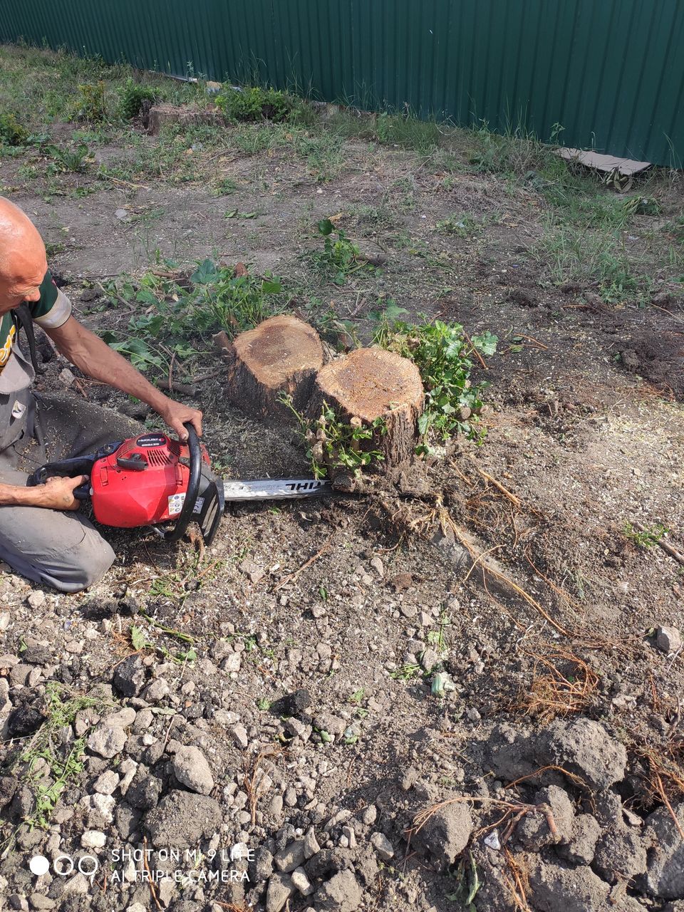 Facem curat la vila. Taiem copaci. Scoatem radacini foto 3