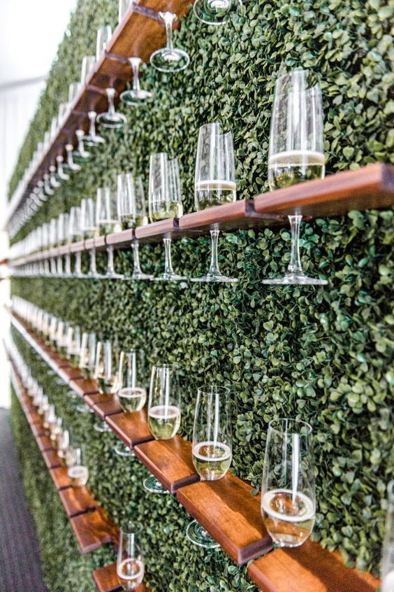 Декоративная зелень Boxwood foto 2