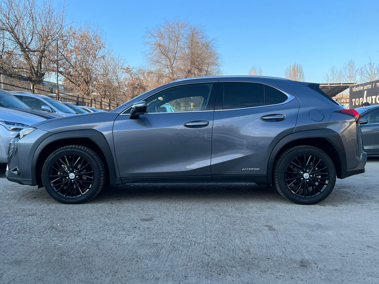 Lexus UX фото 5