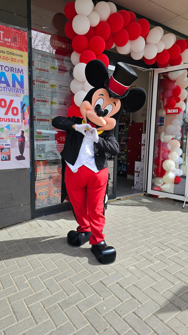 Mickey și Minnie Mouse / Микки и Минни маус аниматоры / animatori mascote Moldova foto 5