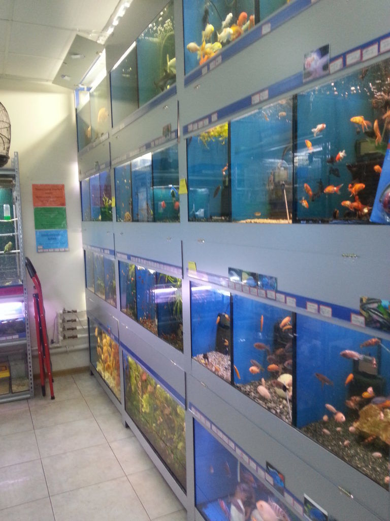 Magazine ZOOTERRA - o gamă largă de produse pentru animalele de companie ! foto 5