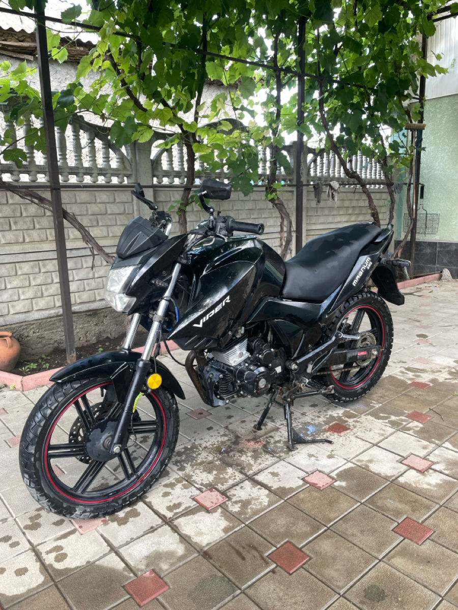 Viper  Magnum 250 фото 0