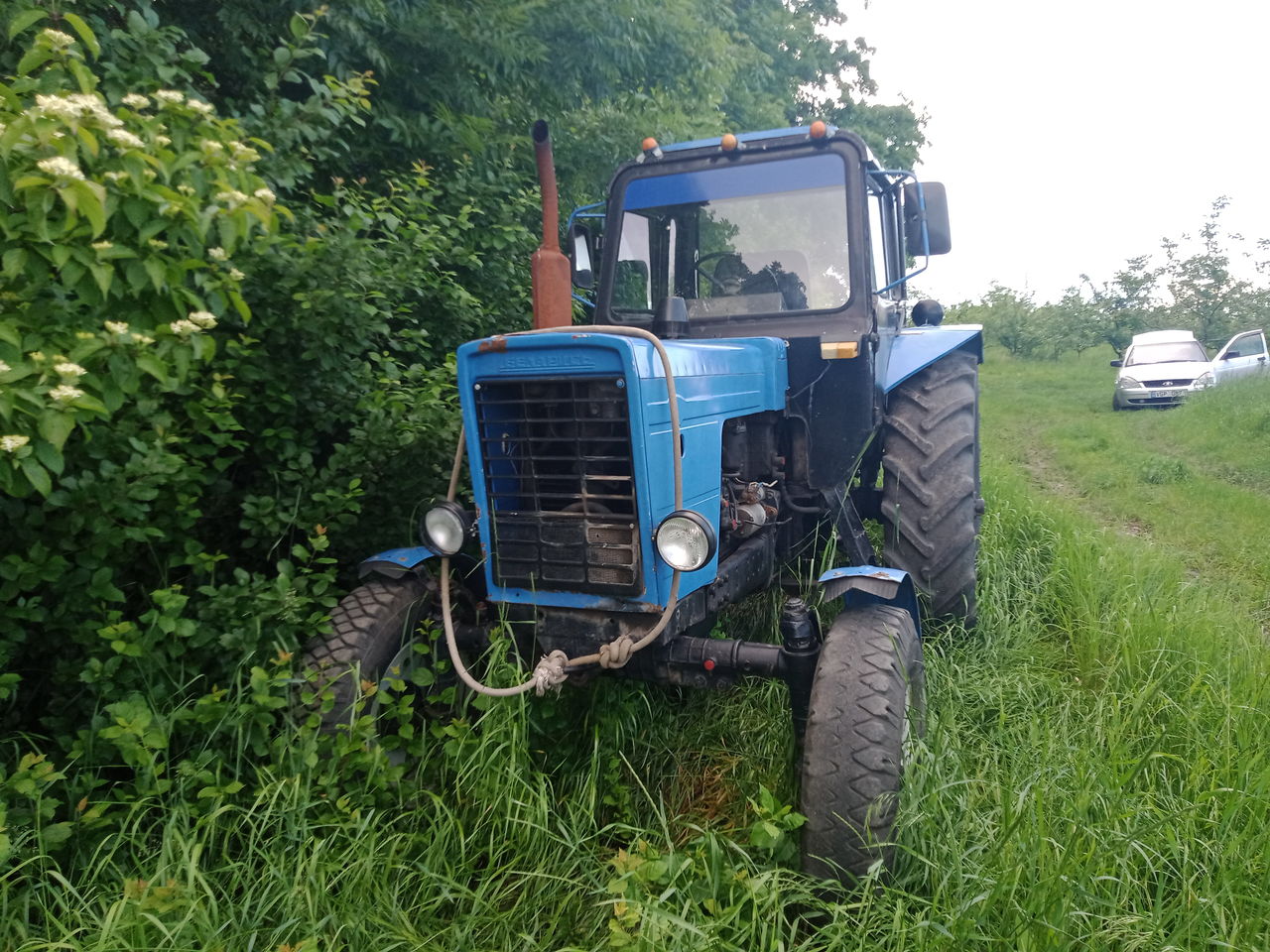 Mtz