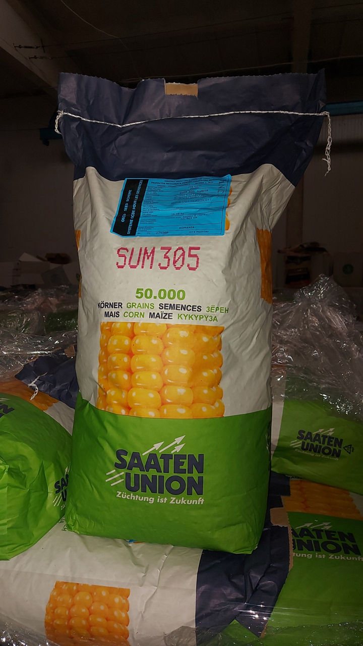 Porumb seminte Golden West Seeds Grecia фото 0